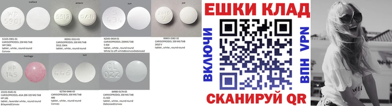 hydra зеркало  сайты даркнета клад  Родники  Экстази Philipp Plein  цена  