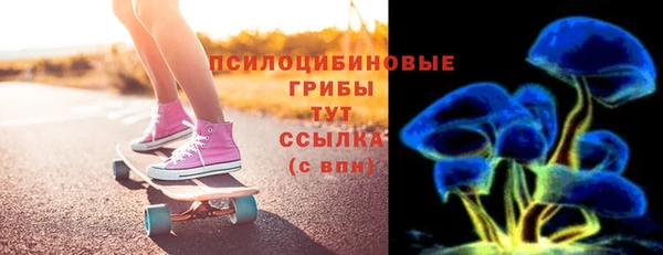 ПСИЛОЦИБИНОВЫЕ ГРИБЫ Аркадак