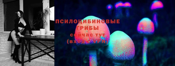 ПСИЛОЦИБИНОВЫЕ ГРИБЫ Аркадак