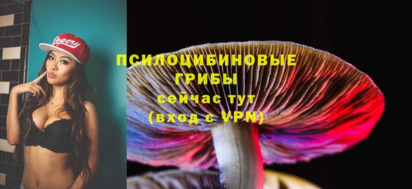 ПСИЛОЦИБИНОВЫЕ ГРИБЫ Аркадак