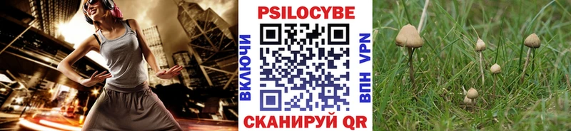 shop клад  Родники  Галлюциногенные грибы Magic Shrooms 