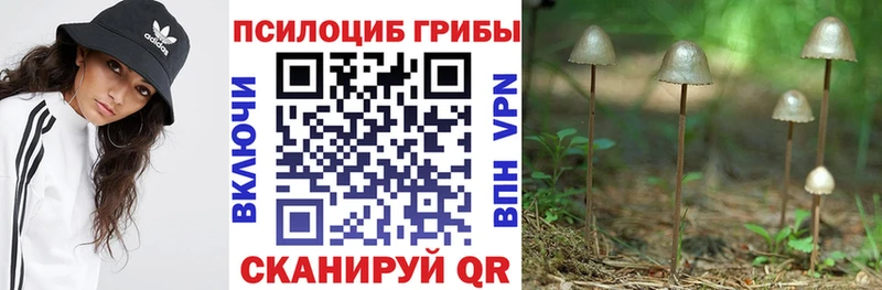 Псилоцибиновые грибы ЛСД Родники